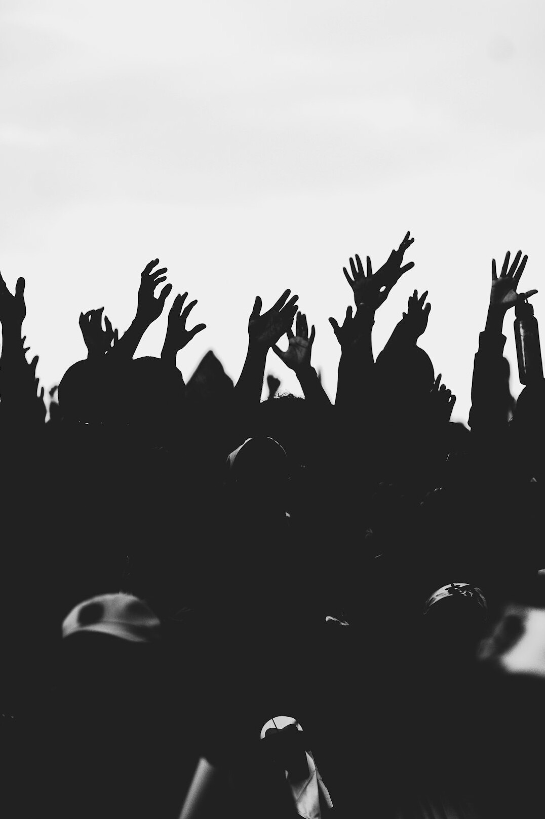 crowd at live music event